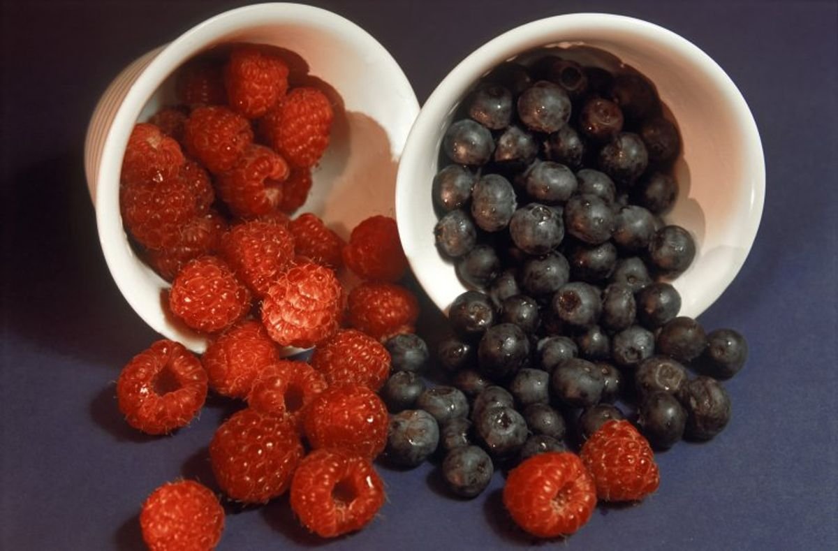 ORAC-15M: A Case Study in Antioxidant Innovation